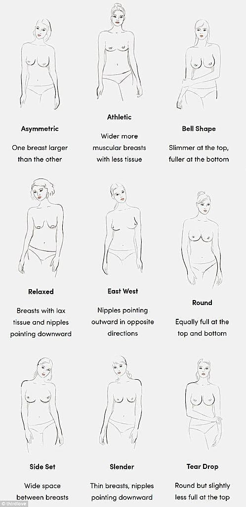 Understanding The Different Types Of Breast Shapes OLIVIA PAISLEY Understanding The Different Types Of Breast Shapes OLIVIA PAISLEY