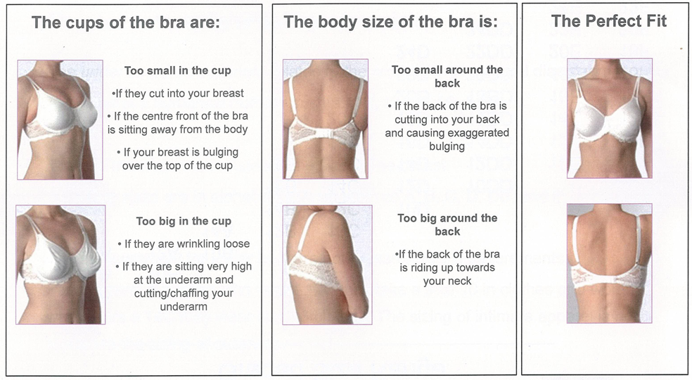 Why You Should Invest in a Bra Fitting Near You